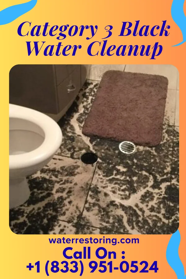 Category 3 Black Water Cleanup in Hewlett Neck, NY