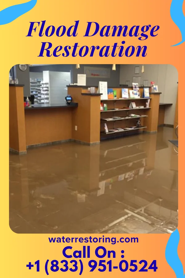 Flood Damage Restoration in Hewlett Neck, NY