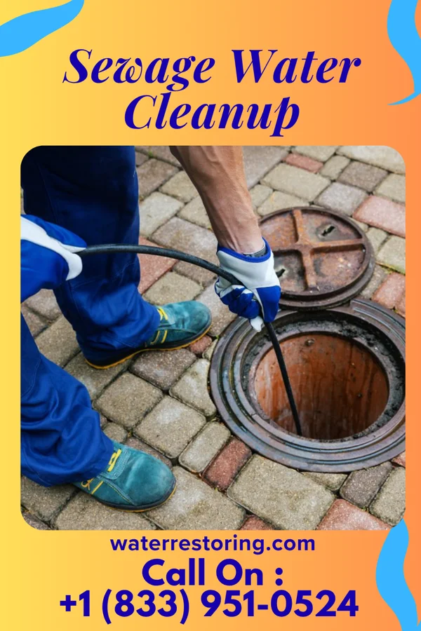 Sewage Water Cleanup in Hewlett Neck, NY