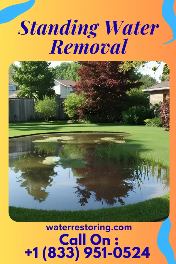 Standing Water Removal in Hewlett Neck, NY
